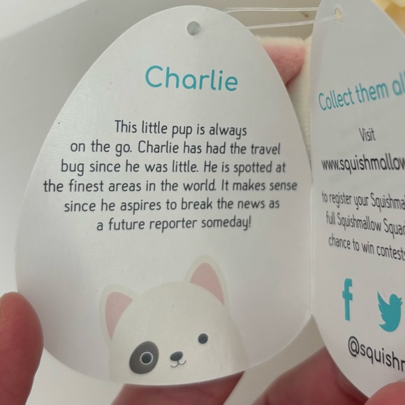 Squishmallows RARE Charlie The Dog 3.5 inch clip Bag Charm - Picture 3 of 14